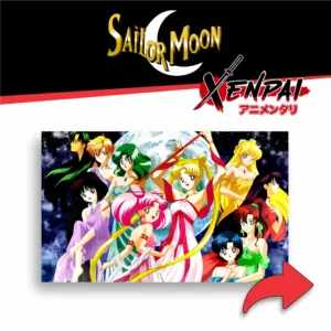 sailor moon – colección 2 (copia)