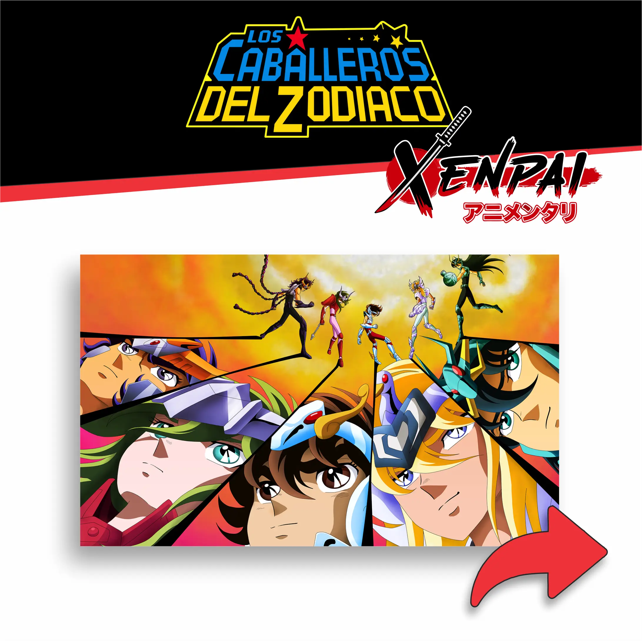 digimon – colección 1 (copia) digimon – colección 1 (copia)