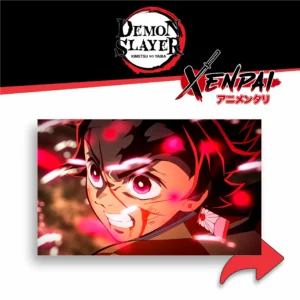 kimetsu no yaiba – colección 1