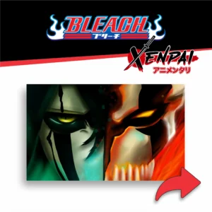 inuyasha – colección 1 (copia)