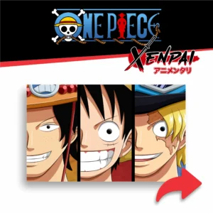 one piece – colección 1