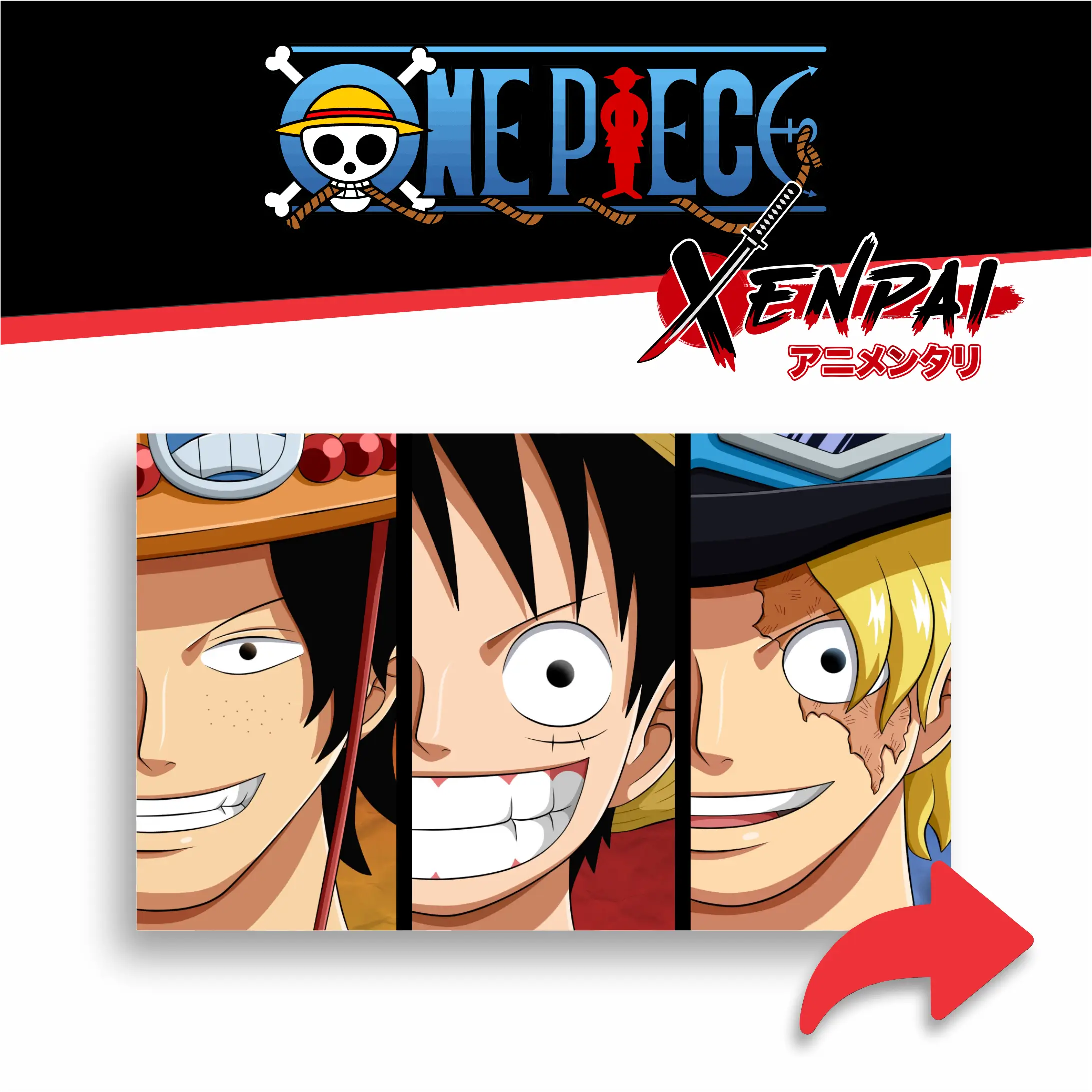 one piece – colección 1 one piece – colección 1