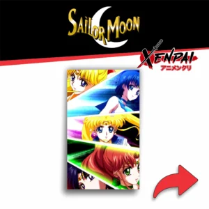 sailor moon – colección 2