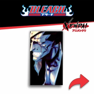 bleach – colección 1 (copia)