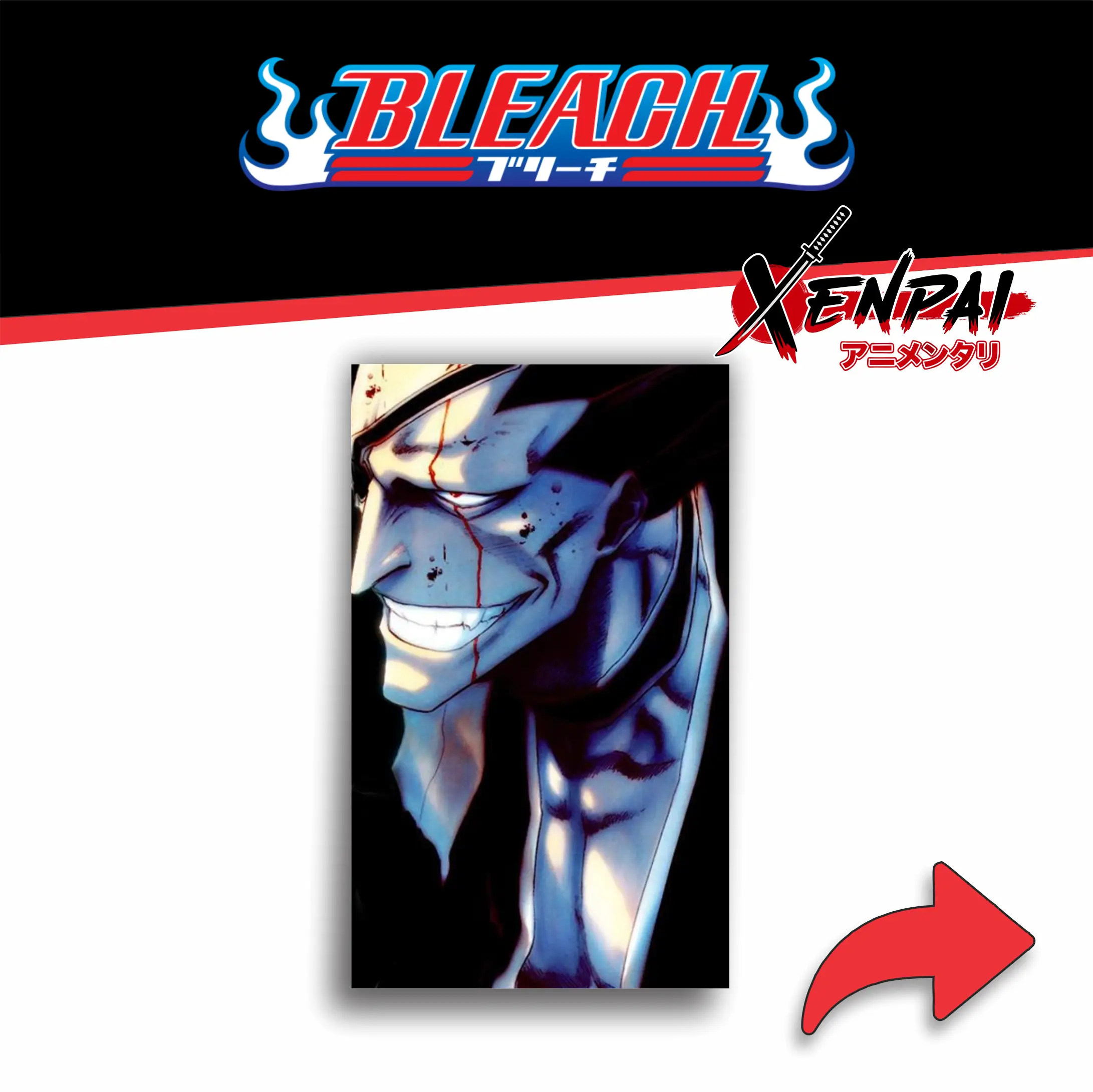 bleach – colección 1 (copia) bleach – colección 1 (copia)