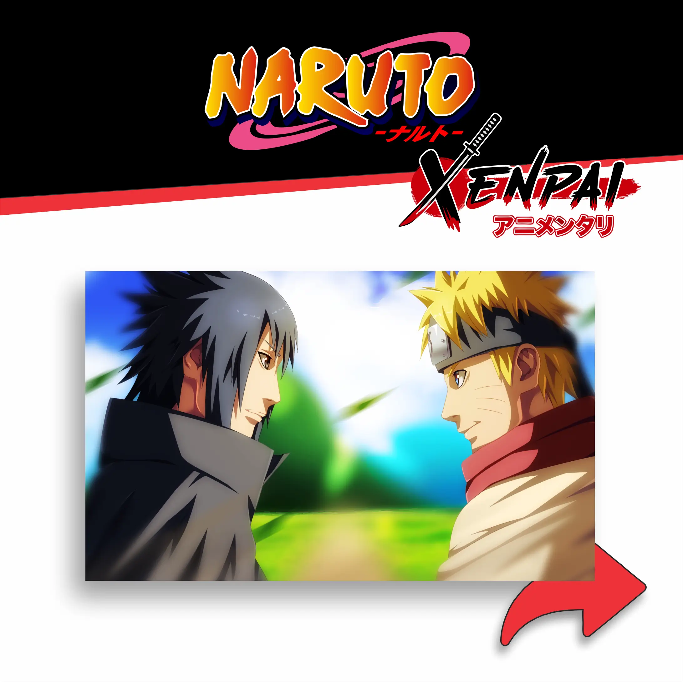 Cuadros Naruto Colección 2