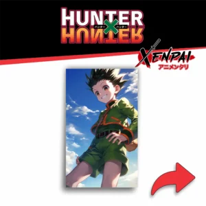hunter × hunter – colección 1