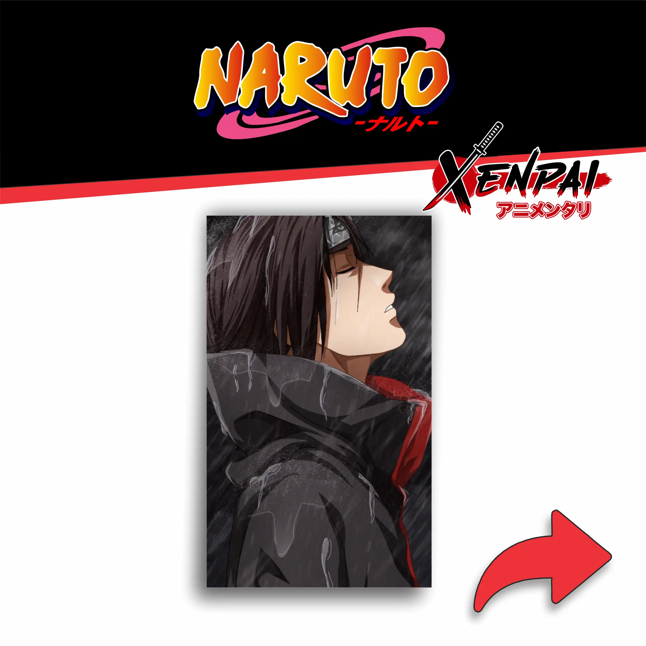 Cuadros Naruto Colección 4