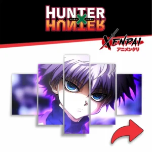 hunter × hunter